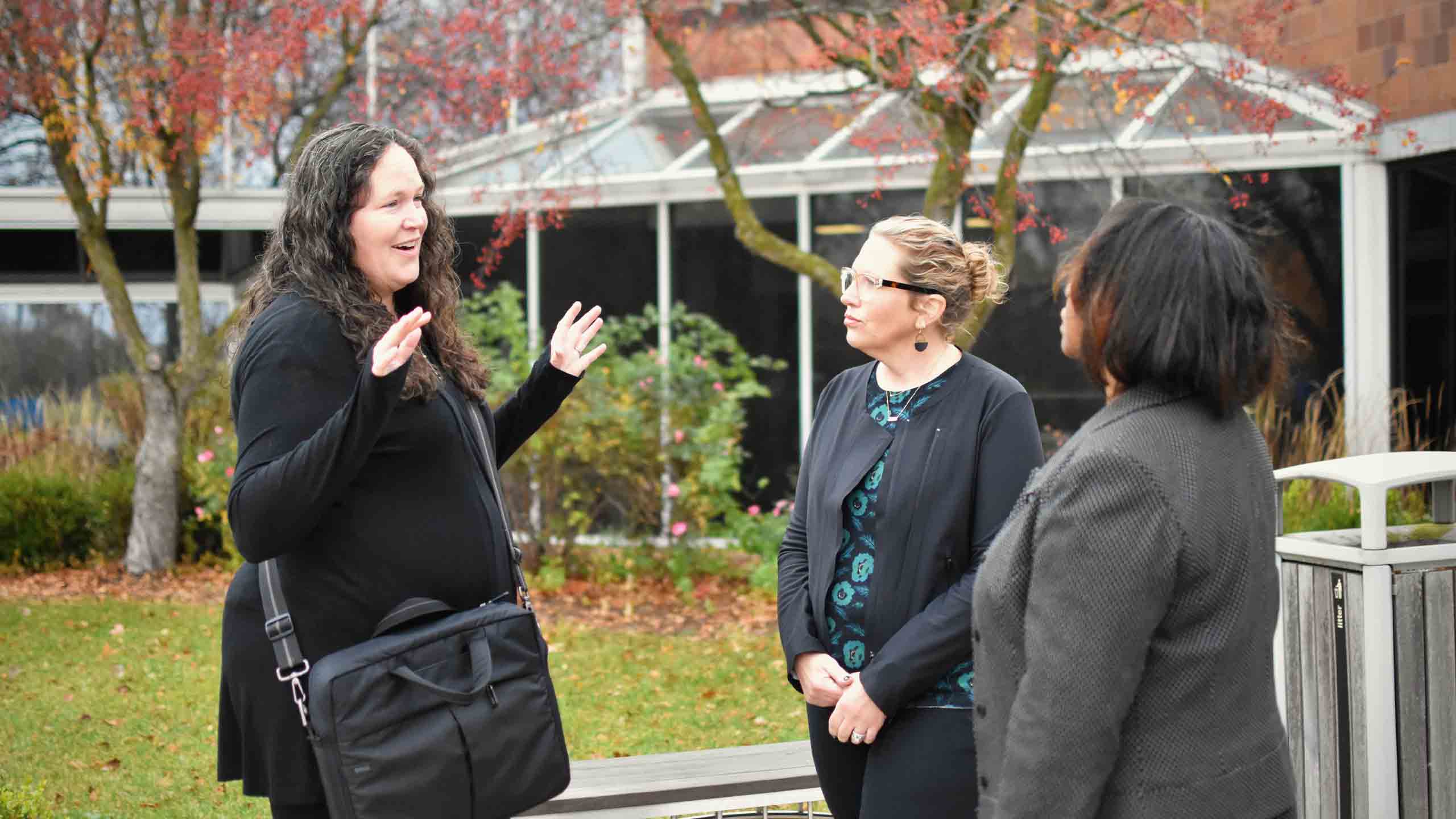 LEADD WASHTENAW COUNTY, MI - Prosecutor, Community Mental Health Program Administrator, and Public Defender