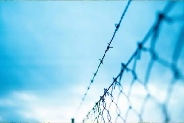 fence